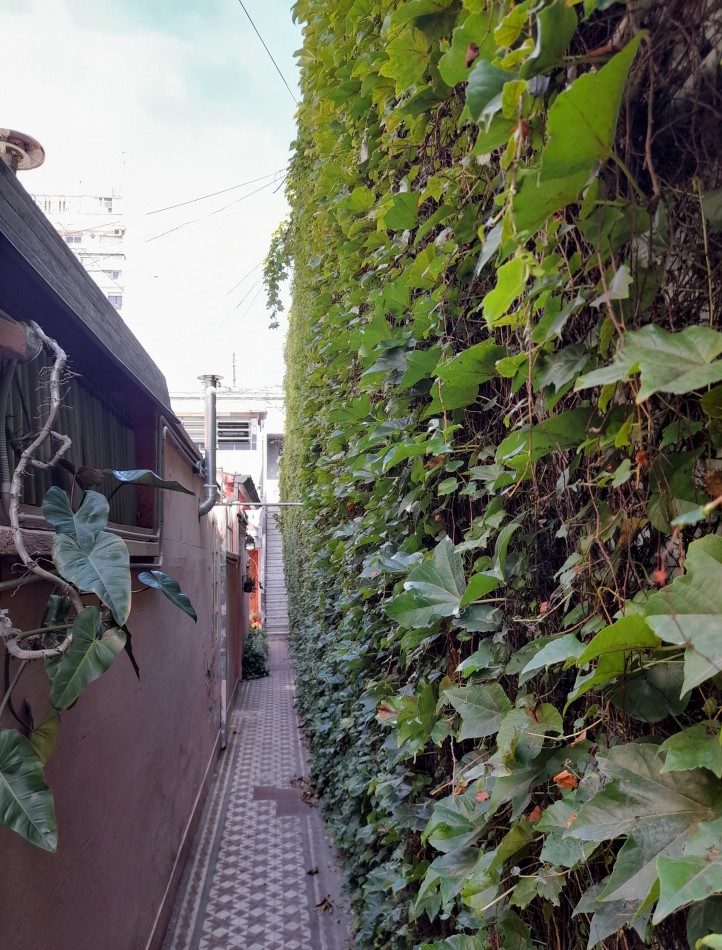 ALQUILER - PH 2 AMBIENTES