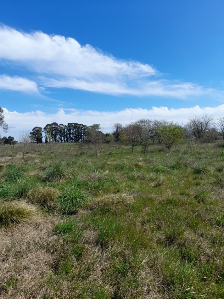 ALQUILER - CAMPO 