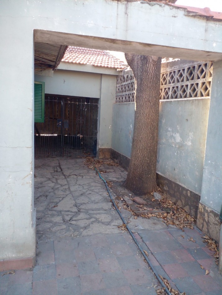 ALQUILER - CASA CON TERRENO